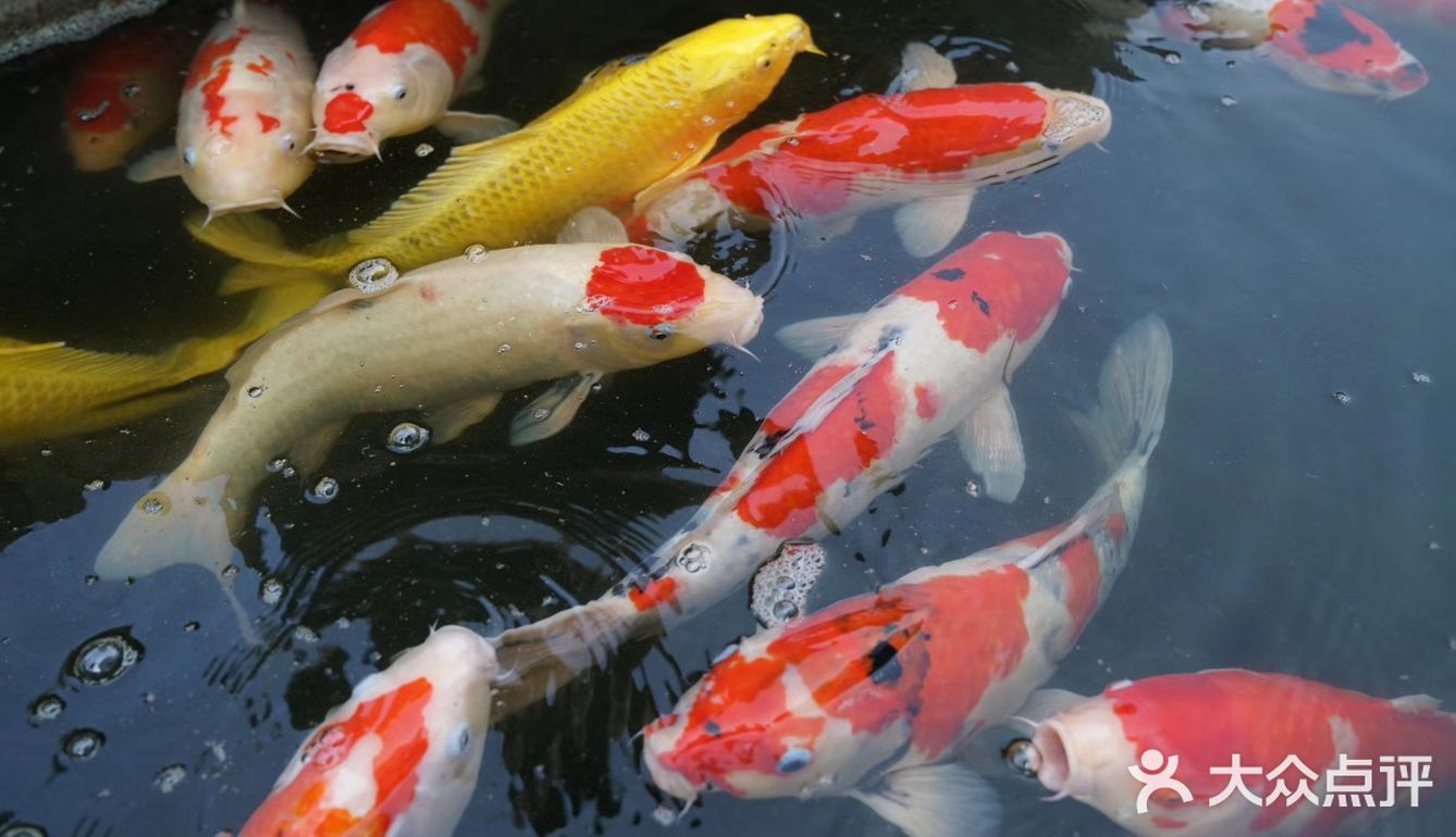 “飘着仙气儿”的艺术馆