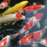 “飘着仙气儿”的艺术馆