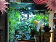 -森味薪火烧•烧鸟居酒屋•日本料理(望京店)