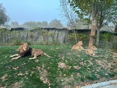 -北京野生动物园