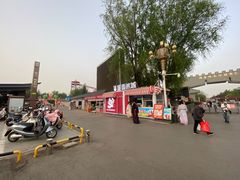 -洛阳市隋唐城遗址植物园