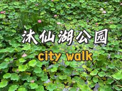-沐仙湖湿地公园