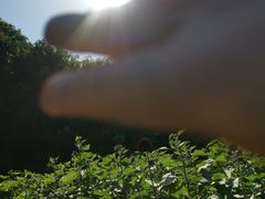 -厦门园林博览苑