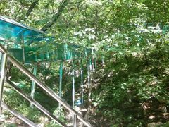 -王顺山国家森林公园