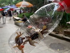 -黄埔古港