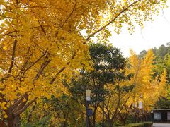 -九龙潭景区