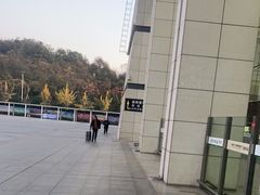 -岳阳东站