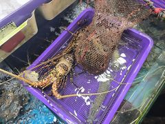 -拉威海鲜市场