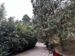 -香山公园
