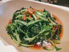 -MR鹅外