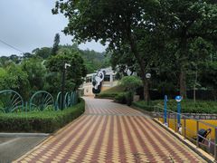 -石排湾郊野公园
