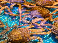 -驻海渔市(置信店)