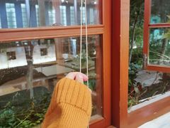 -猫的天空之城概念书店(苏州平江店)