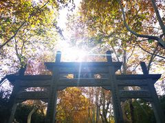 -杭州黄龙洞