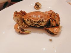 -江南·JIANGNAN(北京歌华开元大酒店)