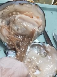 -邵老师打金·黄金加工(大望路总店)