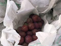 -马陆小张葡萄园农家乐