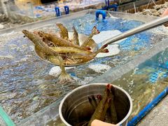 -半岛听涛蒸汽海鲜自助(K11店)