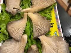 -芦月轩羊蝎子(北蜂窝店)