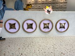 -柴务处·柴犬主题狗咖