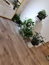 -skin79皮肤管理中心