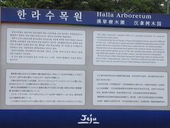 -汉拿树木园