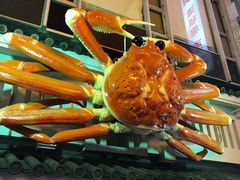 -蟹道乐(道顿堀本店)