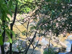 -广州白江湖森林公园