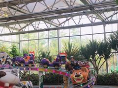 -南宫五洲植物乐园