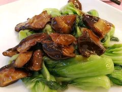 双菇炒青菜-复旦大学本部-食堂