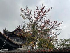 -粤剧艺术博物馆