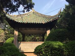 -叶家花园