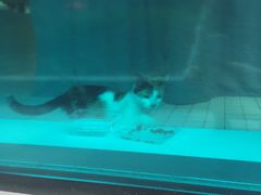 -ID.PHOTO照相馆(嘉里企业中心店)