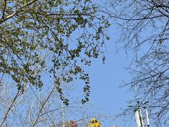 -长乐公园游乐场