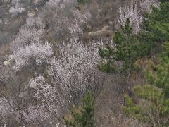 -天津盘山风景名胜区
