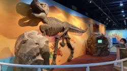 -北京科学中心儿童乐园