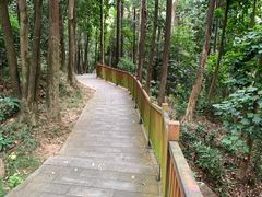 -火炉山森林公园
