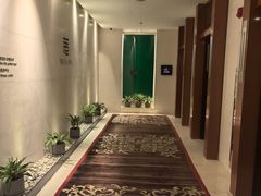-丽思卡尔顿酒店泳池(金融街店)