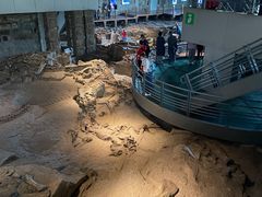 -自贡恐龙博物馆