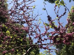 -昆山城市生态森林公园