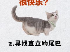 -荔康动物医院(康王北路店)