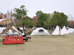 -上海长兴岛郊野公园