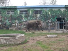 -西安秦岭野生动物园