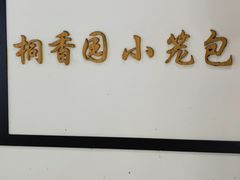 -桐香园小笼包(百井坊巷店)