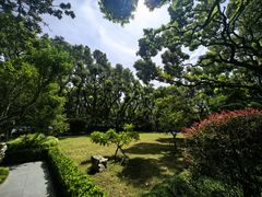 -黄阿姨锅贴大王(万航渡路店)