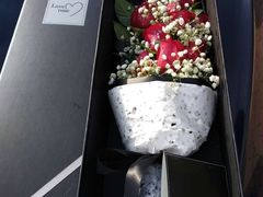 -杉杉奥特莱斯广场(哈尔滨店)