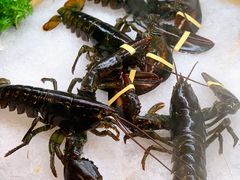 -张亮麻辣烫(哈尔滨金爵万象店)