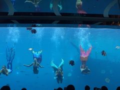 -瑞德姆美人鱼海底演艺主题餐厅(亚龙湾店)
