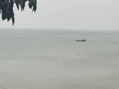 -巴陵全鱼席(湖南老字号汴河街店 )