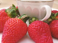 -利顺德大饭店·维多利亚花园(小白楼店)